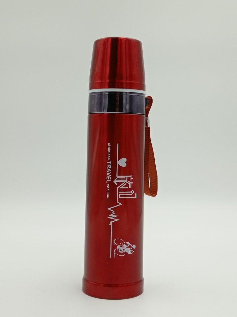 Stainless Travel Vacuum