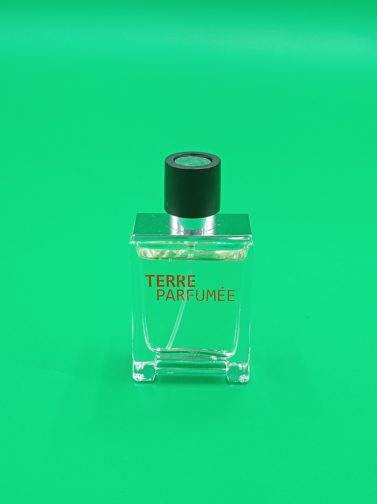 Terre Perfume
