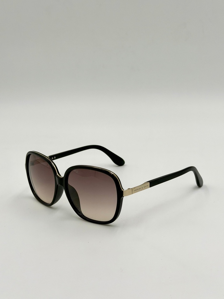 Sunglasses, Charles&Keith, Black, Woman