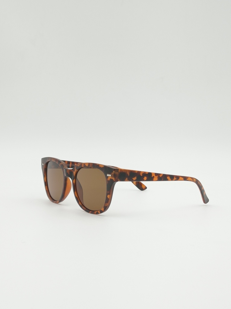 China Sunglasses, Brown, Male