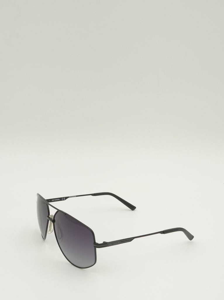 Harley Davidson, Black, Male